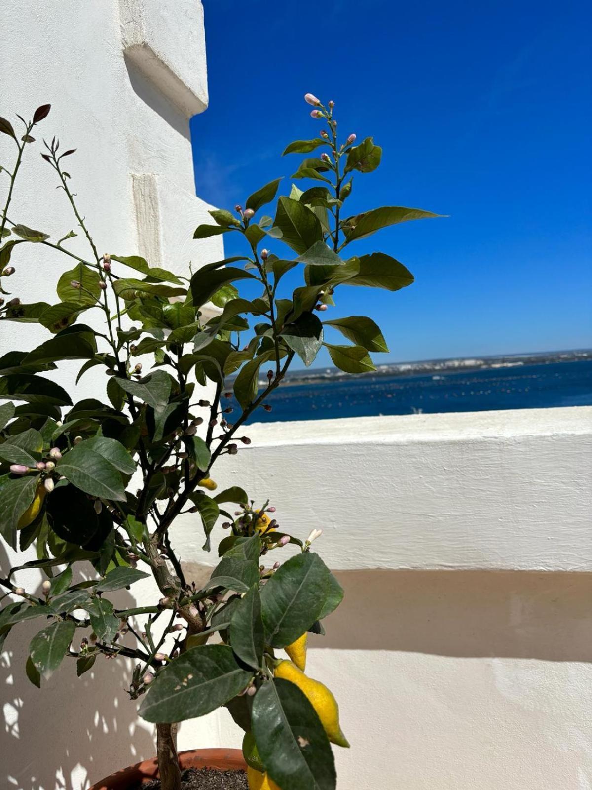 Il Palazzino Apartment Taranto Exterior foto